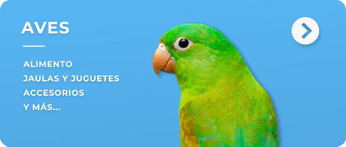 Aves